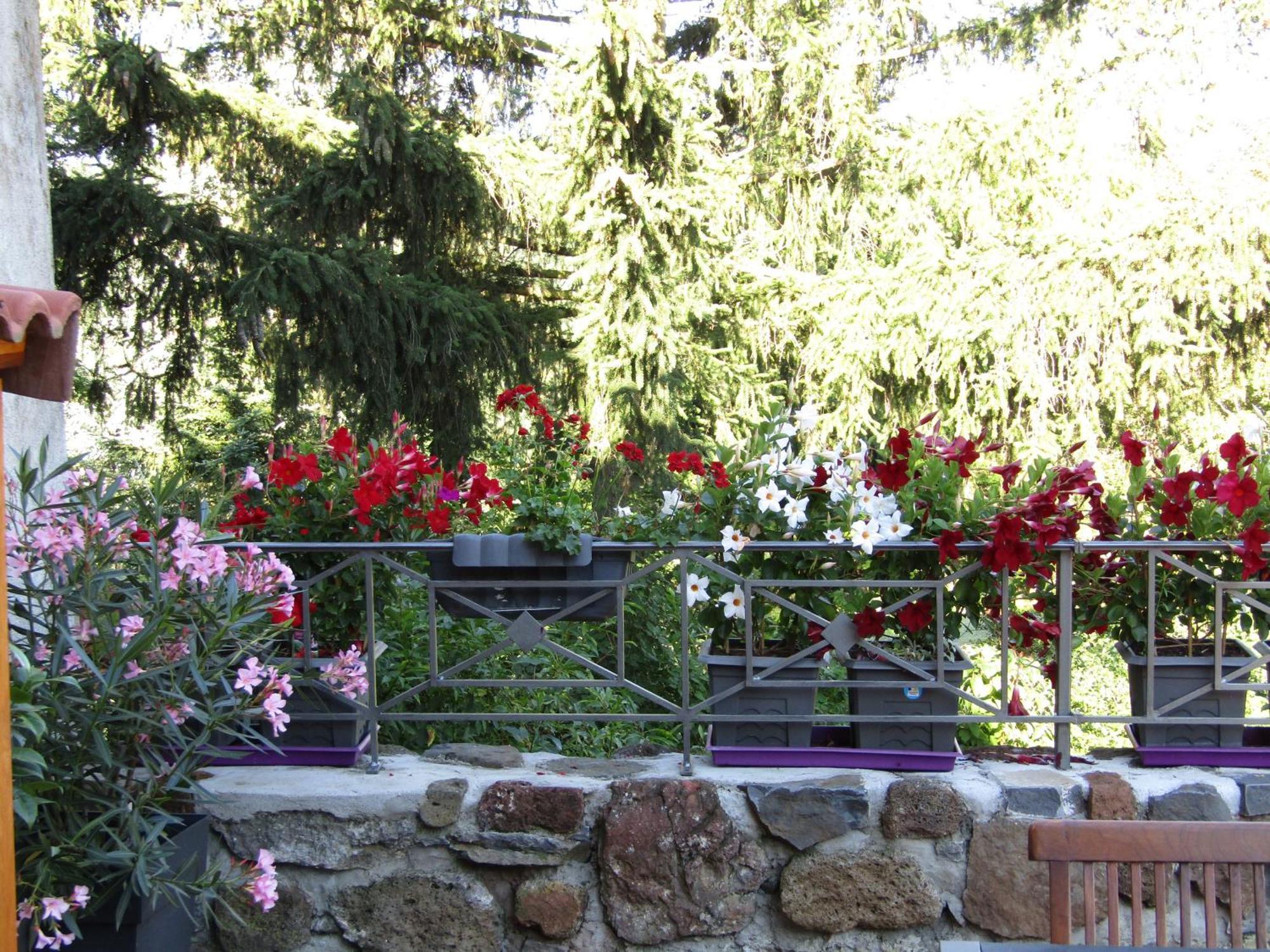 Grande Maison Au Coeur D'Un Village Historique Avec Terrasse Et Wifi Inclus - Fr-1-582-308 Saint-Vidal 외부 사진